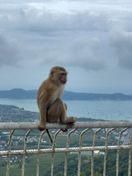 Similar image 21828452