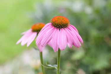 Similar image 21848014