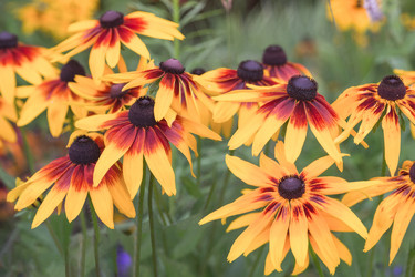 Similar image 21848015