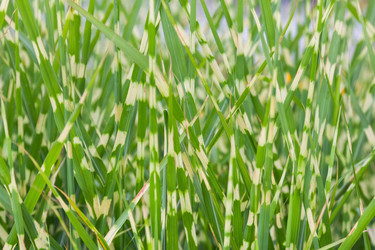 Similar image 21848016