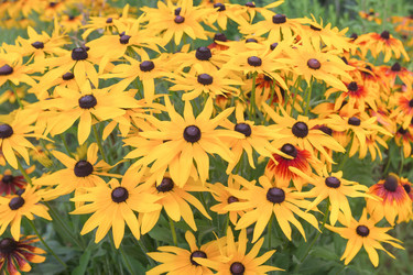 Similar image 21848017