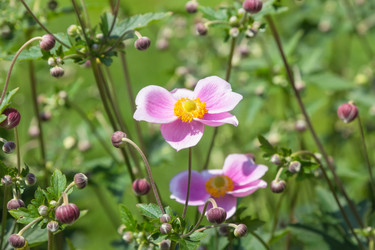 Similar image 21848018