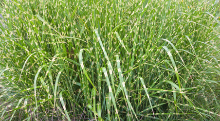 Similar image 21848019