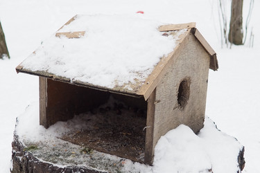 Similar image 21845515