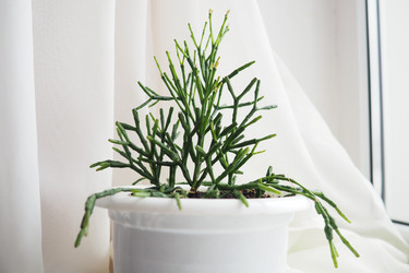 Similar image 21845517