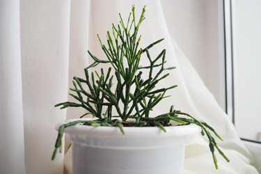 Similar image 21845523