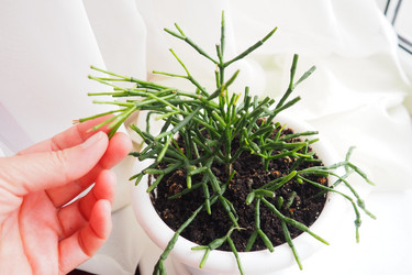 Similar image 21845527