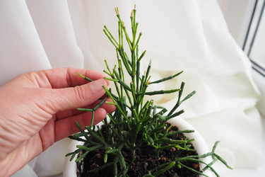 Similar image 21845531