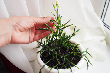 Similar image 21845533