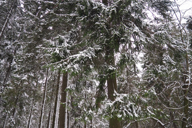 Similar image 21845534