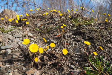 Similar image 21845536