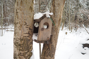 Similar image 21845541