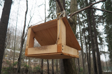 Similar image 21845547