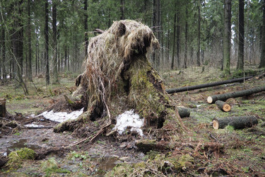 Similar image 21845554