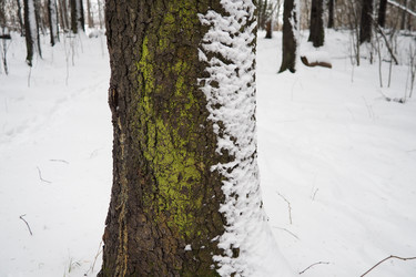 Similar image 21845555