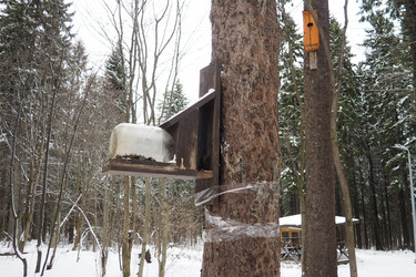 Similar image 21845560