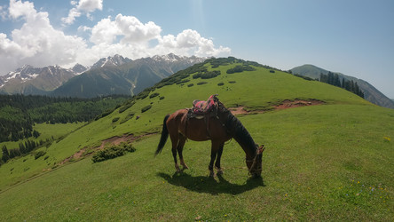 Similar image 21832591