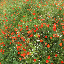 Similar image 21832596