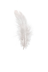 Similar image 21828897