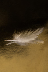 Similar image 21828898