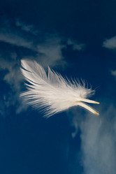 Similar image 21828899