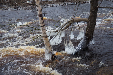 Similar image 21845575