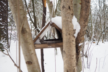 Similar image 21845578