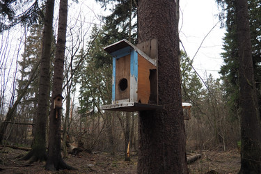 Similar image 21845583