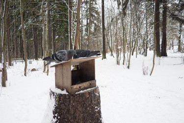 Similar image 21845584