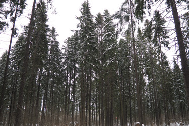 Similar image 21845585