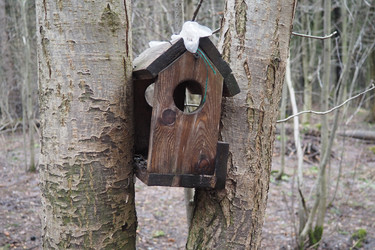 Similar image 21845591