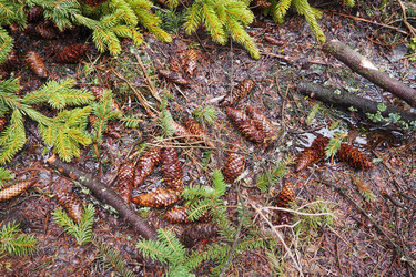 Similar image 21845592