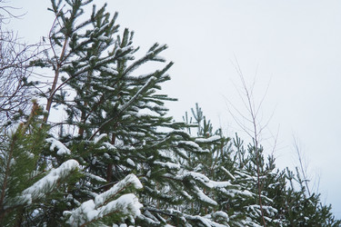 Similar image 21845603