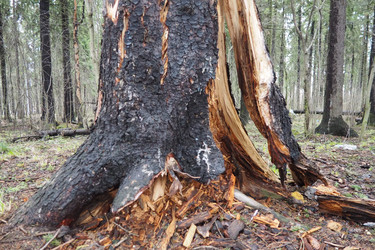 Similar image 21845610