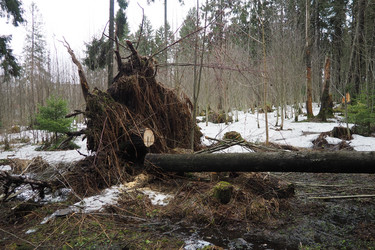 Similar image 21845613