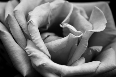 Similar image 21828491