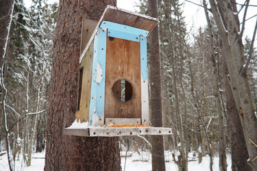 Similar image 21829095