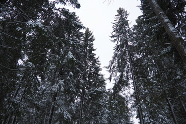 Similar image 21829096