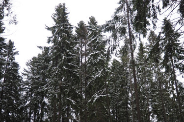 Similar image 21829097