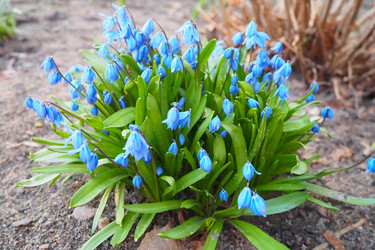 Similar image 21829099