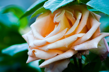 Similar image 21828492