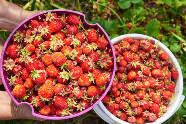 Similar image 21828501