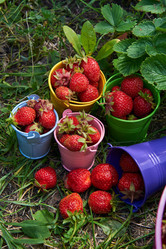 Similar image 21828502