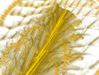 Similar image 21834937