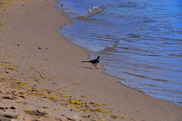 Similar image 21828517