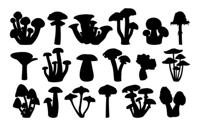 Similar image 21832180