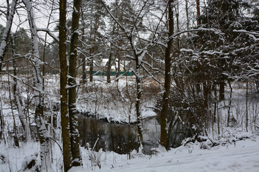 Similar image 21833155