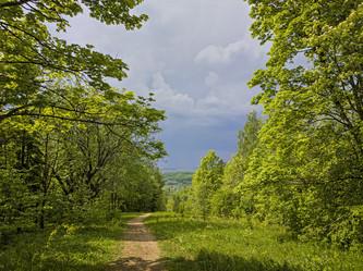 Similar image 21840530