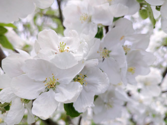 Similar image 21840531