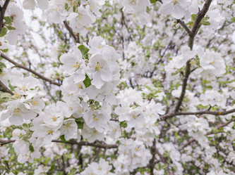 Similar image 21840532